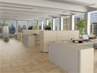 Kancel&aacute;�sk&eacute; n&aacute;bytkov&eacute;, p�&iacute;�kov&eacute; a reg&aacute;lov&eacute; syst&eacute;my